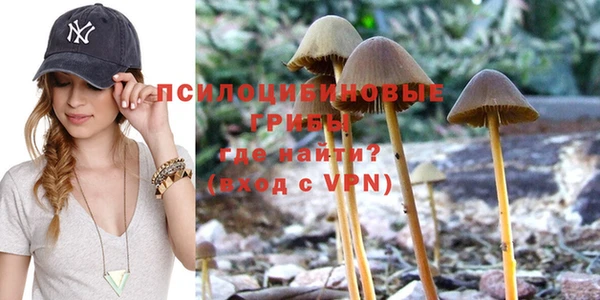 PSILOCYBIN Баксан