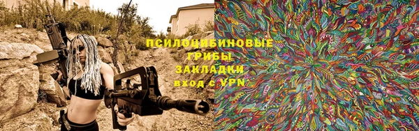 PSILOCYBIN Баксан